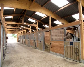 36.Barn's 13 Boxes + Sellerie - Trefibois